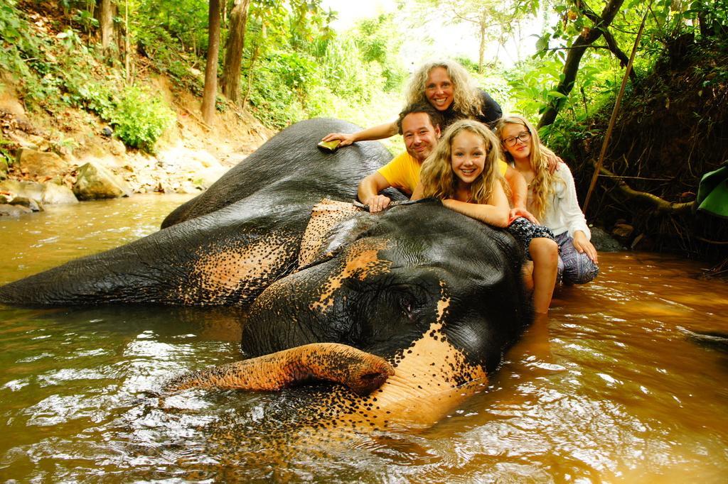 Jungle Village Homestay Pinnawala  Extérieur photo